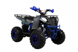  Wels ATV THUNDER EVO 125 s-dostavka  -  .       